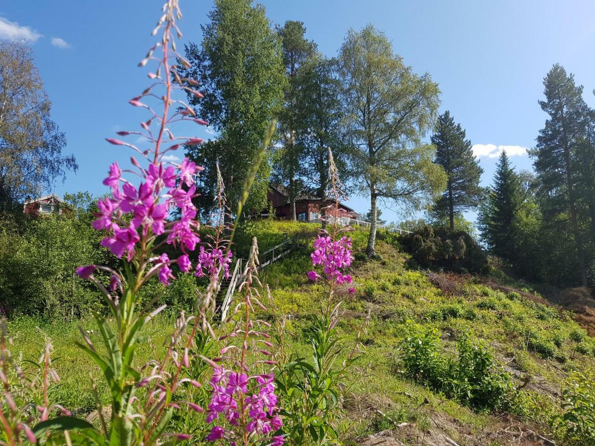 Bjoernforsens Turist & Konferenshotell, Naera Husum, Oernskoeldsvik Bjorna المظهر الخارجي الصورة