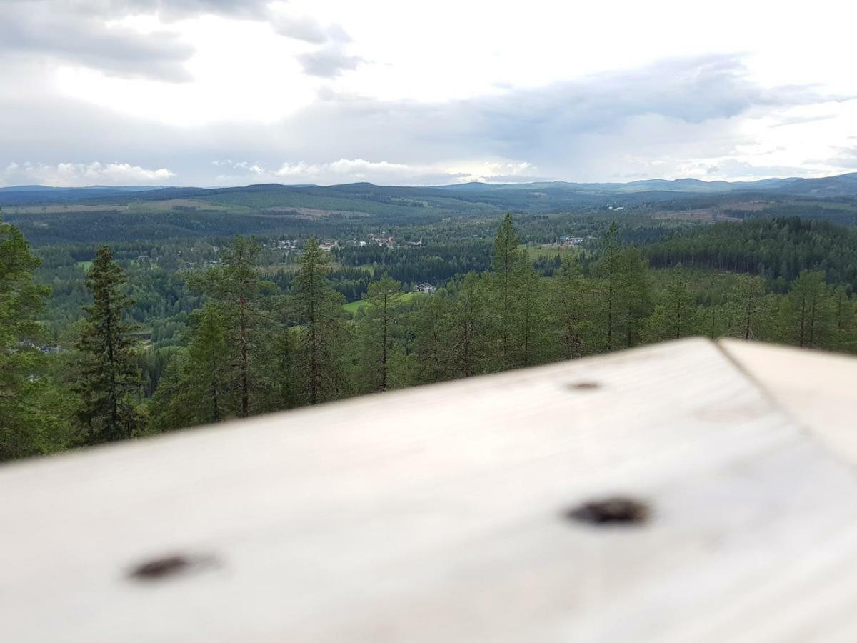 Bjoernforsens Turist & Konferenshotell, Naera Husum, Oernskoeldsvik Bjorna المظهر الخارجي الصورة
